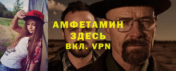 шишки Приозерск