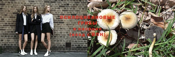 винт Баксан