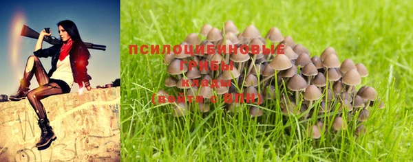 mdpv Балахна